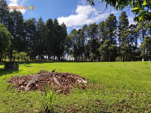 Imagem 13 de 29 de Chácara, Excelente Localização - Porto Feliz Sp - Ch0172