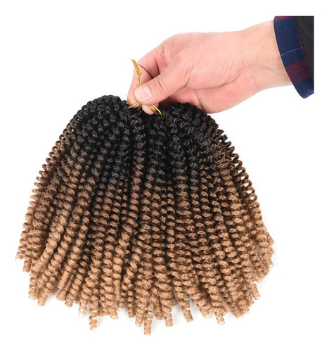 Alirobam 4packs 8inch Spring Twist Crochet Braids Braiding H