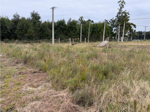 Vendo Terreno De 435 M2 En San Justo, Entre Ríos.