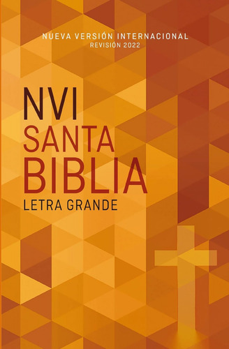 Biblia Nvi 2022 Edición Económica Letra Grande Rústica