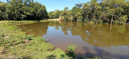 Fazenda Para Venda Em Mariana Pimentel, Potreiro Grande, 2 Dormitórios, 1 Banheiro - 1235_1-1710488