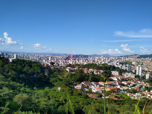 Imagem 12 de 16 de Terreno 4000 M² São Bento (bh) Venda - 11015