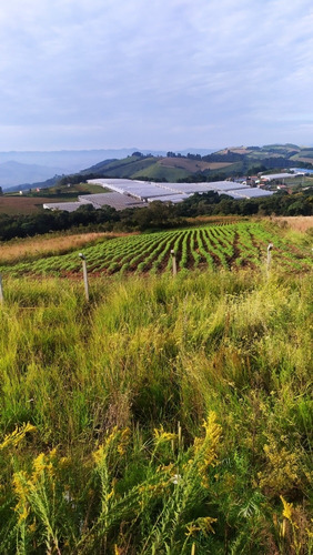 Chácara Itapeva Minas Gerais