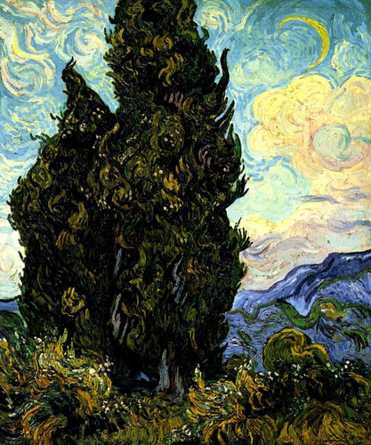 Ciprestes Árvores Coníferas De Van Gogh Em Tela 51cm X 42cm