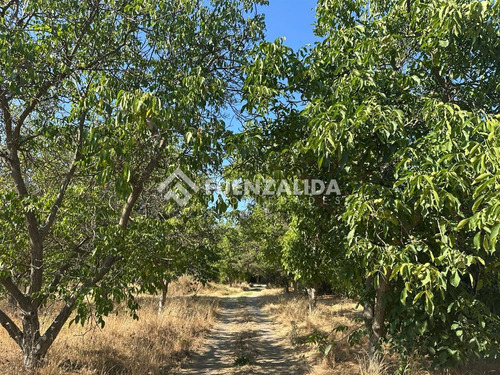 Parcela En Venta Mas Cabaña, En Camino Peñaflor