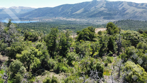 Terreno En Nuevo Kaleuche.