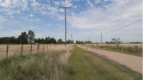 Terreno En  Quintas De Don Andrés 