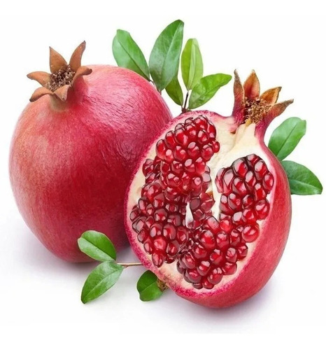 10 Sementes De Romã Gigante Pomegranate Punica Fruta