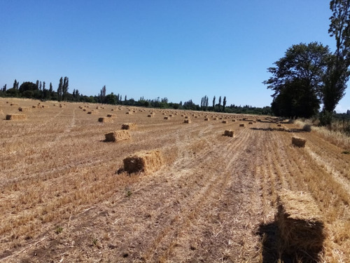 Parcela Sector Unión Cancha El Álamo/camino Las Mariposas