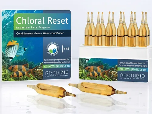 1 Ampolla Prodibio Chloral Reset Acondicionador Marino Dulce