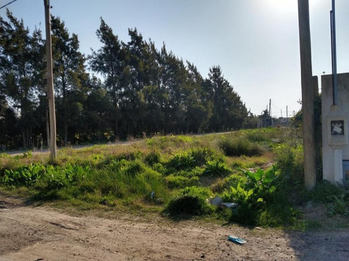 Imagen 8 de 8 de Terreno Venta 11 X 40 -440 Mts 2- Villa Castells