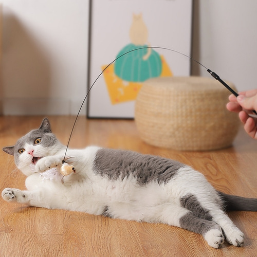 Brinquedo Interativo Para Gatos Varinha Com Pássaro Preto