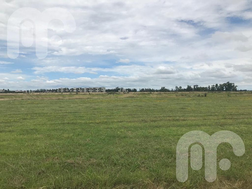 Imagen 7 de 10 de Venta Terreno - La Faustina