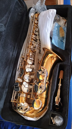 Sax Alto Slade Zero - Envio Rápido Dourado E Prata