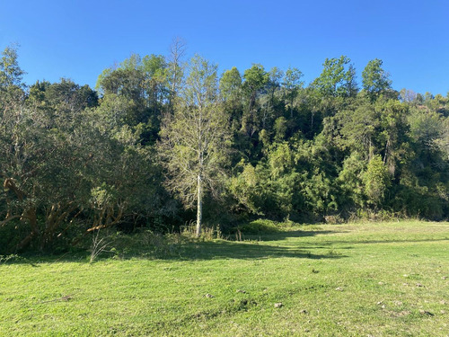Terreno Con Borde Rio Y Casa Vista Al Lago