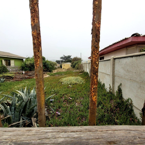 Gran Terreno Con Casa , Especial Para Cabañas , Inversion