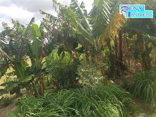 Imagem 2 de 14 de Sítios À Venda Em Pilar Do Sul/sp - Compre O Seu Sítios Aqui! - 1373063