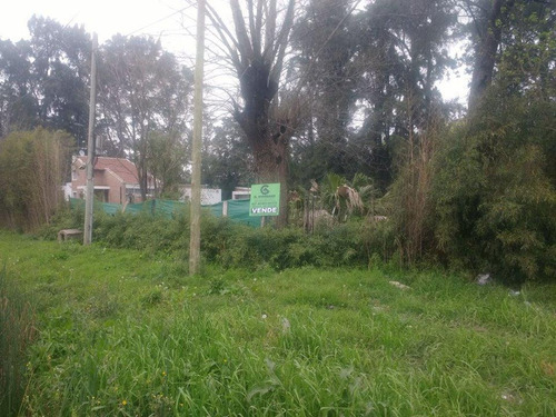 Imagen 1 de 2 de Oportunidad! 2 Lotes Sobre Ruta 25 Y Gral. Lavalle - Ideal Inversores!