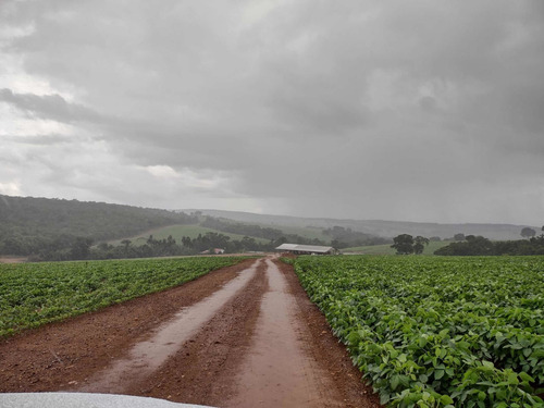 Imagem 2 de 5 de Fazenda Dupla Aptidão Município Piracanjuba