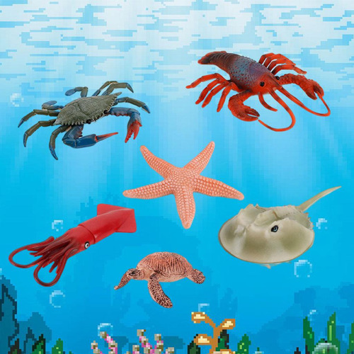 Colección De Regalos De Cumpleaños De Marine Life Animal