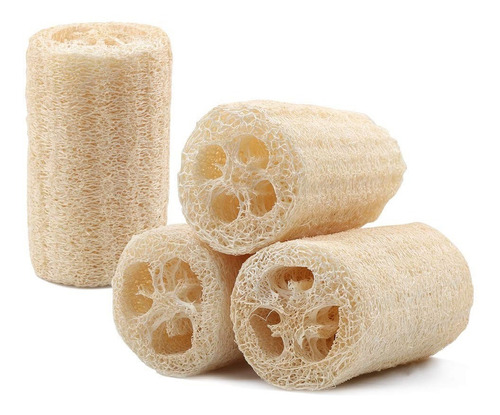 Semillas De Esponja Vegetal - Luffa