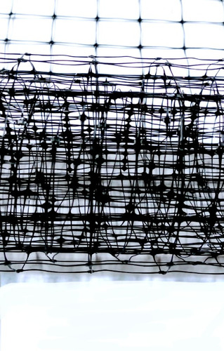 Guacamalla Malla Polipropileno Anti-aves 5x13m (2x2cm)
