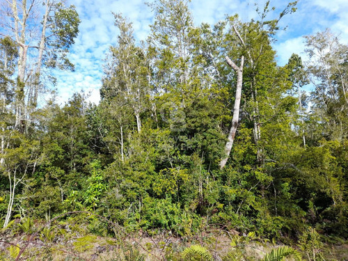 Parcela En Venta - Lomas De Monte Verde