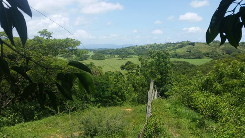 Imagen 7 de 7 de Haciendas - Fincas En Venta