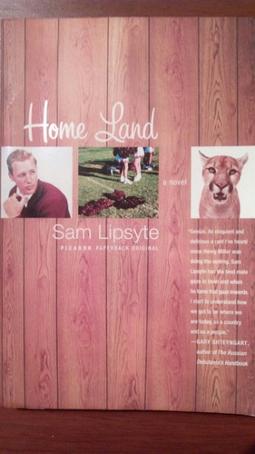 Home Land - Sam Lipsyte