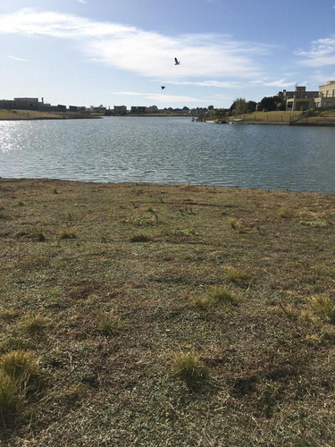 Imagen 2 de 12 de Increíble Venta Lote A La Laguna Área 5 San Sebastián