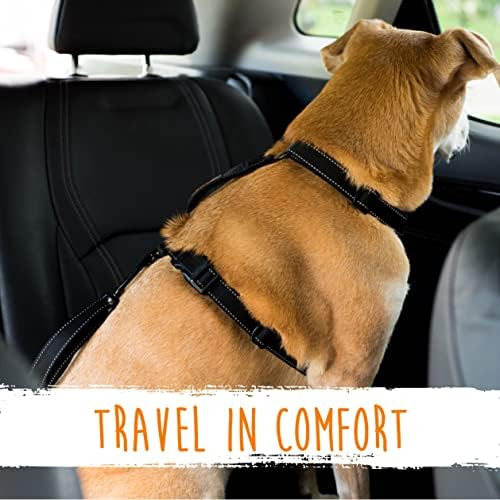 Cinturón De Seguridad Para Perros Paw | Latchbar Correa Para