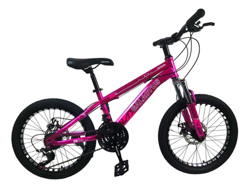 Bicicleta  Galactus R20 Adam Reforzada