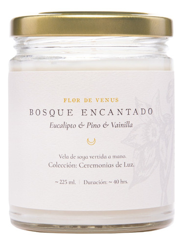 Bosque Encantado Vela De Soya Aromática Eucalipto Pino Vaini