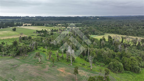 Agrícola En Venta En Lago Ranco La Unión