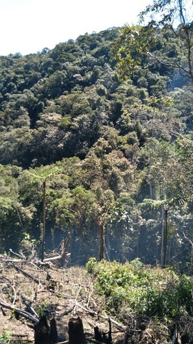 Venda De Chácaras