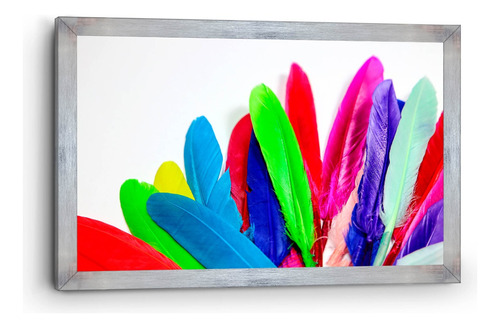 Cuadro Enmarcado Clasico Pluma De Colores 90x140cm
