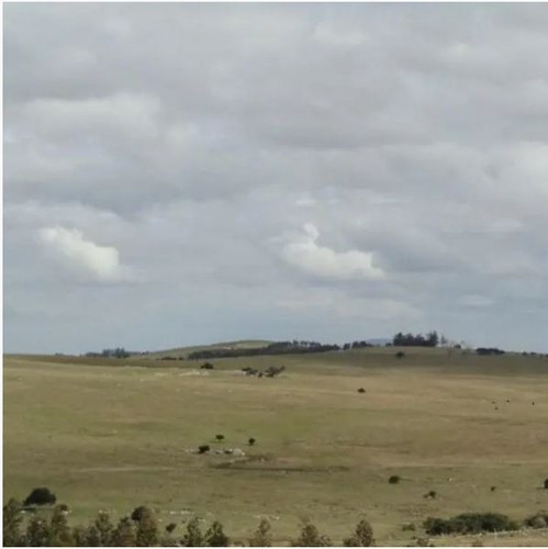 Campo En Venta