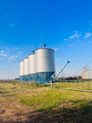 Excelente Campo Agrícola/ganadero!.
