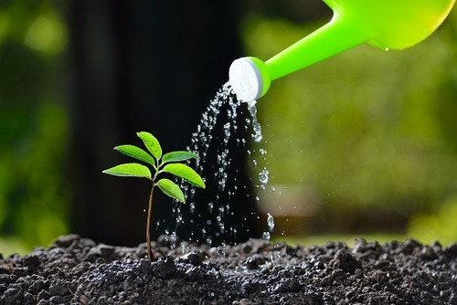 Imagen 2 de 3 de Humus De Lombriz/abono Para Plantas Y Jardín 10 Kg.