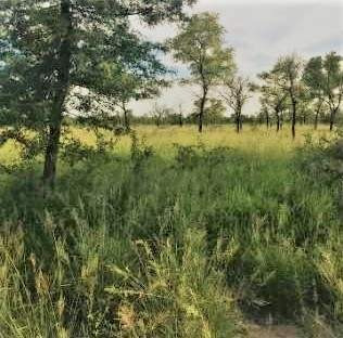 Imagen 11 de 18 de Venta Campo Mixto En Santiago Del Estero