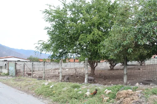 Terreno En Venta. Ejido, Merida.