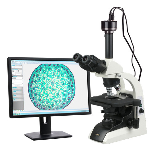 Amscope Microscopio Biológico Trinocular Del Plan Infinito.