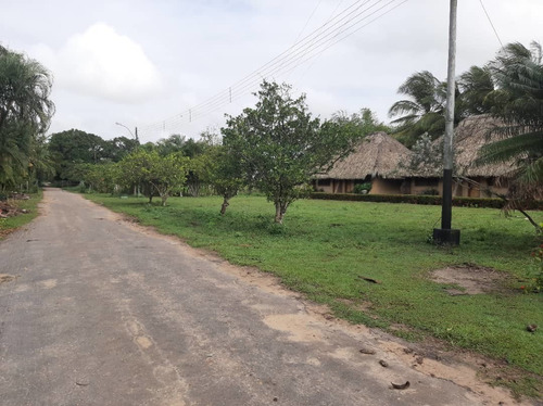 Imagen 19 de 27 de Se Vende Finca El Maitero Via El Sur De Monagas Ve02-1098vs-mtru