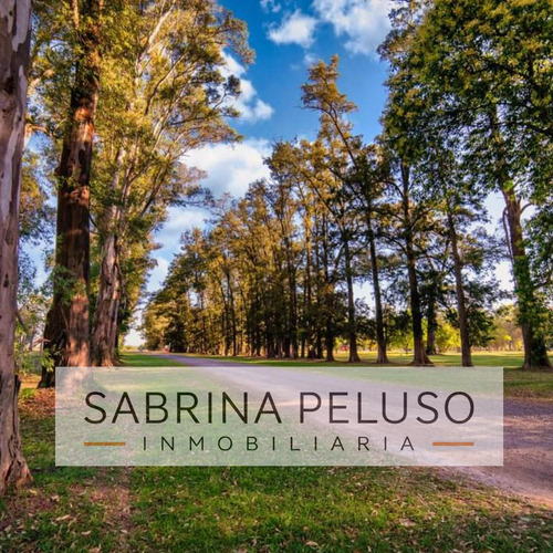 Venta Terreno Tres Pinos