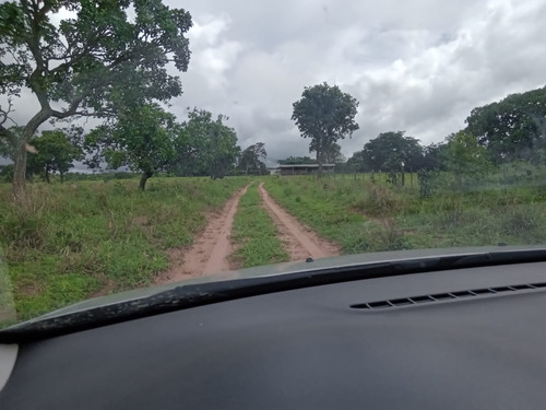 Imagem 6 de 19 de Fazenda Em Paranatinga - Mt - 820hectares- 10milhões
