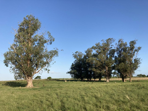 Imagen 12 de 14 de Campo De Casi 12 Hás En Ruta 40