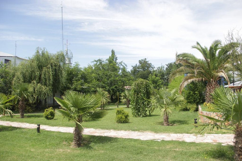 Imagen 5 de 30 de Quinta - Rama Caida