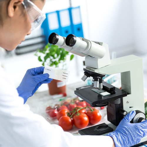 Hemocitómetro De Vidrio Con Cámara De Conteo De Células Labs