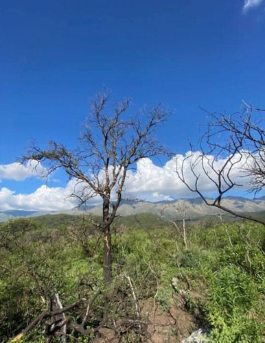Campo 4 Hectareas En Corralito Arriba, Traslasierra, Cordoba (ref 211)