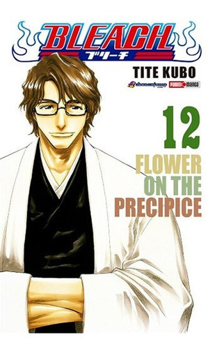 Bleach: Flower On The Precipice, De Tite Kubo., Vol. 12. Editorial Panini Manga En Inglés, 2022